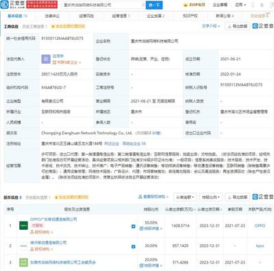 vivo 投資 OPPO 關聯公司，持股 30% 布局第二類增值電信業務
