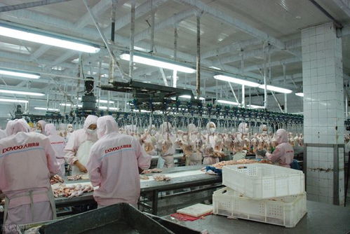 月薪近萬的工廠工作，為何搶不過日曬風吹的外賣騎手？——從“基礎電信業務”角度透視職業選擇變遷