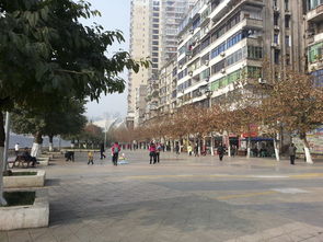 從“濱河游園”看通川區城鄉市容管理新篇章