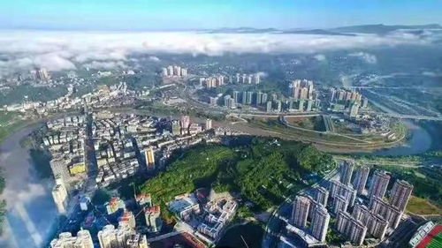 落實全會精神 提升人居品質——城區老舊小區改造與城鄉市容管理雙輪驅動